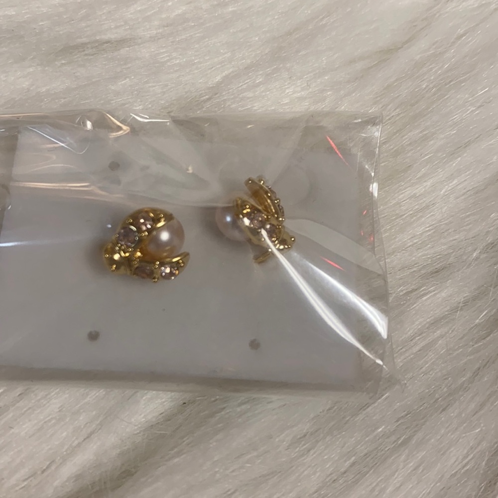 Ladybug Earrings (NWT)